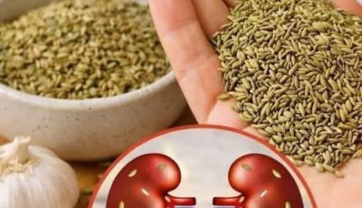Exploring 5 Common Spices That May Support Kidney Health in Your Daily Routine