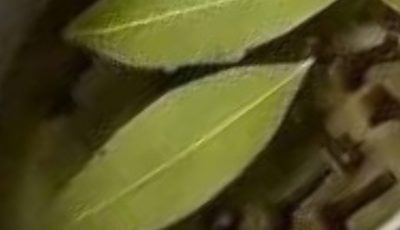 Bay Leaf and Clove Herbal Tea
