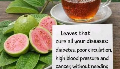 Natural Leaves for Blood Sugar Support