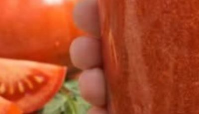 Tomato Juice Benefits for Health: Properties, Uses, and How to Drink It